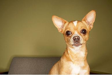 义贼偷盗动作游戏《神技 盗来》发布中文预告片